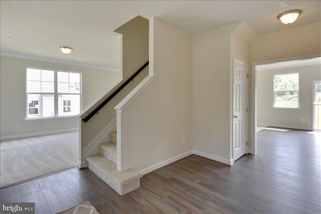 stairs with hardwood / wood-style floors and ornamental molding