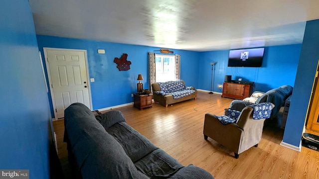 living room featuring light hardwood / wood-style floors