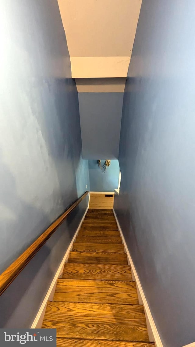 staircase featuring hardwood / wood-style floors