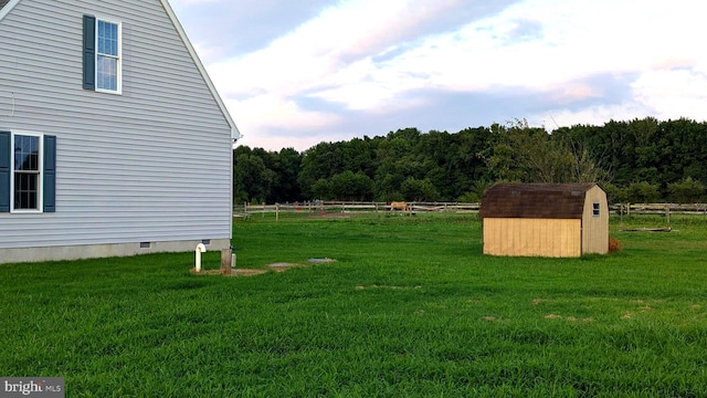 view of yard featuring a shed