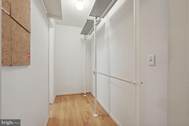 spacious closet with light hardwood / wood-style flooring