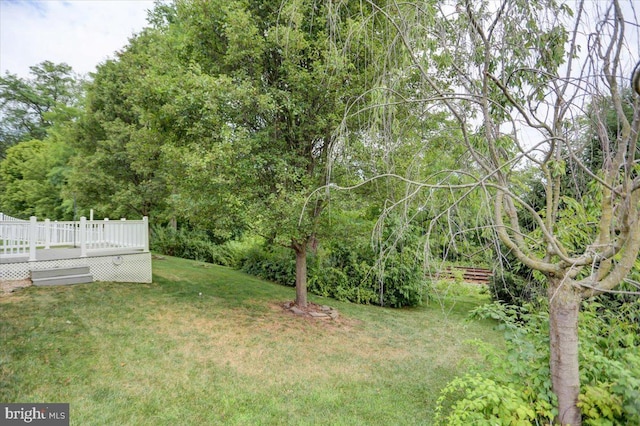 view of yard with a wooden deck