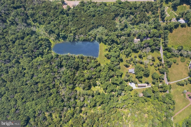 birds eye view of property with a rural view and a water view