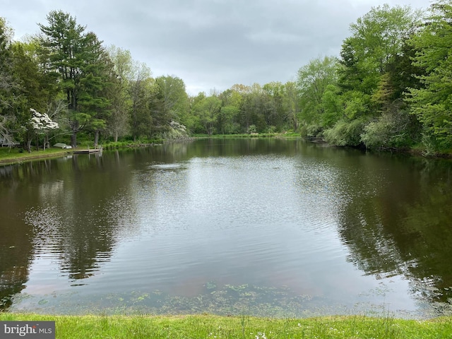 property view of water