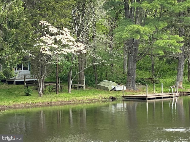 view of water feature with a dock