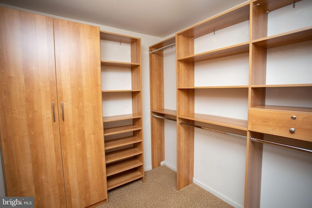 spacious closet featuring light carpet