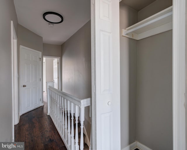 corridor with dark wood-type flooring