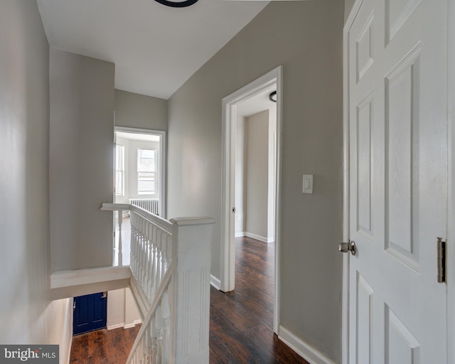 hallway featuring dark hardwood / wood-style floors