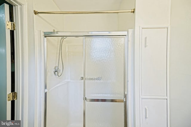 bathroom with a shower with shower door