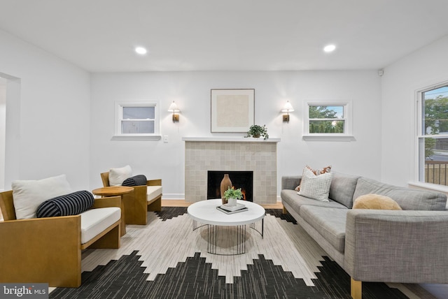 living room featuring a fireplace and hardwood / wood-style floors