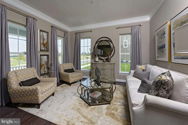 living room featuring dark wood-type flooring and ornamental molding