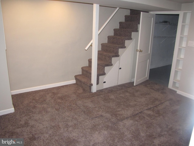 stairs with built in features and carpet