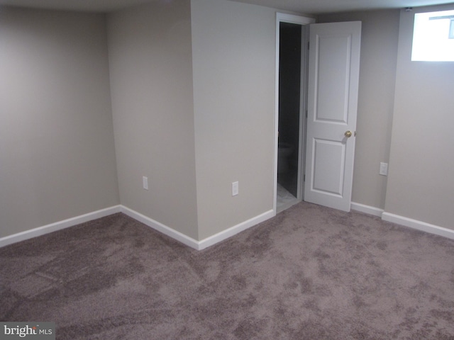 basement featuring carpet