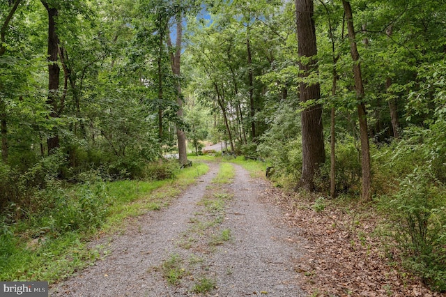 Listing photo 2 for Rock Hall, Berryville VA 22611