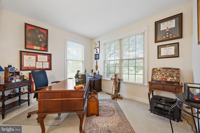 345 Austin Dr, Oxford, PA 19363 - office with light colored carpet, baseboards, and a healthy amount of sunlight