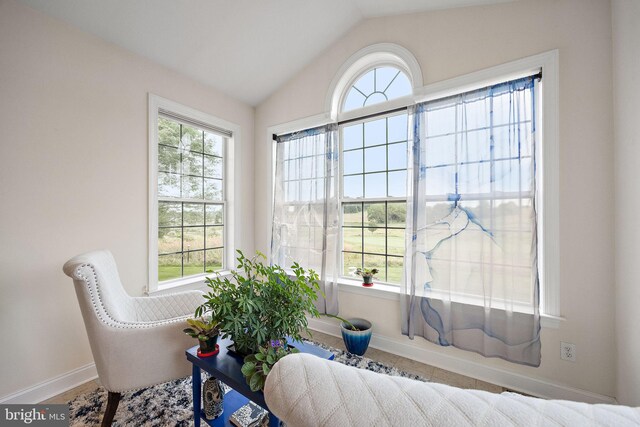345 Austin Dr, Oxford, PA 19363 - living area featuring baseboards and vaulted ceiling