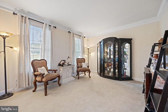 345 Austin Dr, Oxford, PA 19363 - living area with carpet flooring, baseboards, and ornamental molding