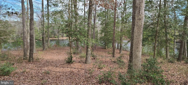 Listing photo 3 for LOTS26AND27 Olde Mill Ln, New Church VA 23415