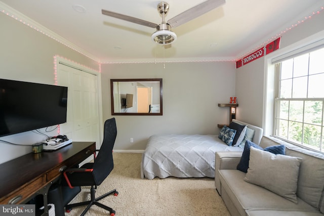 bedroom with ceiling fan, a closet, ornamental molding, and carpet flooring