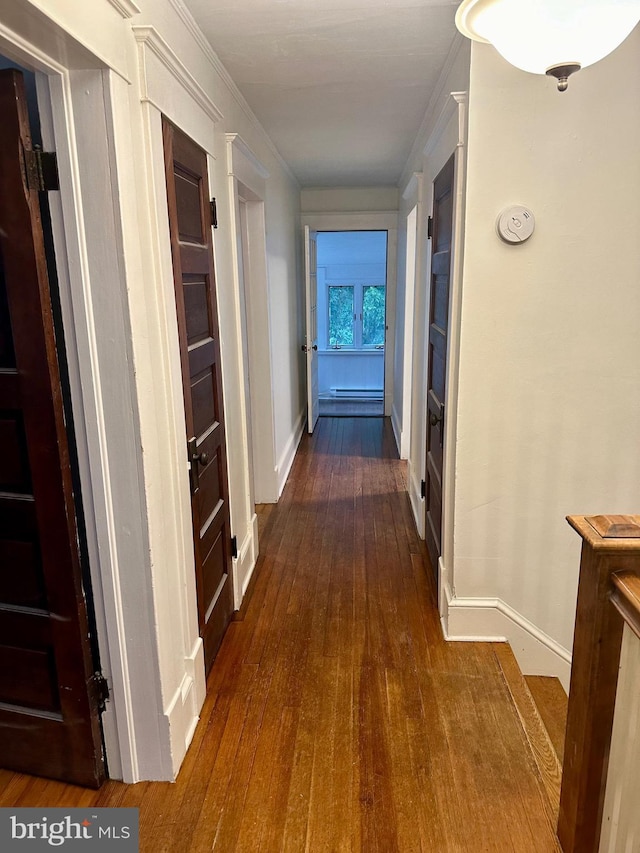 hallway featuring dark hardwood / wood-style flooring and crown molding