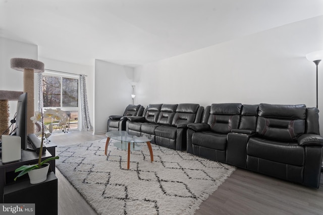 living area featuring wood finished floors