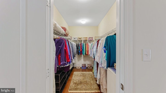 spacious closet featuring dark wood-type flooring