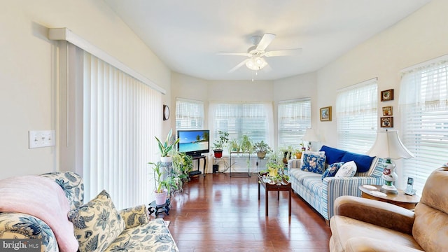 living room with ceiling fan, plenty of natural light, and dark wood-type flooring