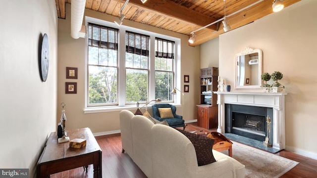 living room featuring dark hardwood / wood-style flooring, plenty of natural light, and rail lighting