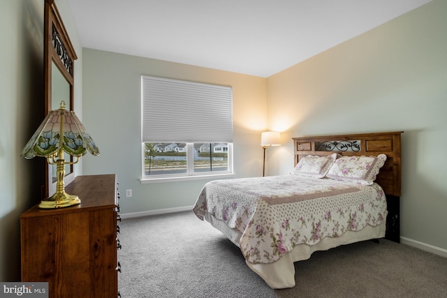 bedroom with carpet