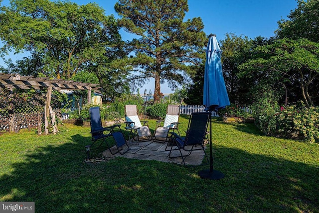 view of yard with a patio area