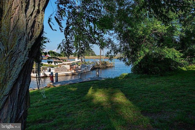 dock area featuring a water view and a yard