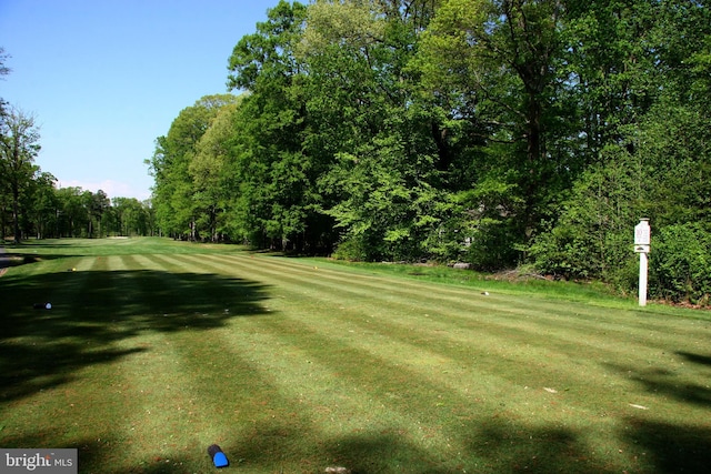 view of home's community with a lawn