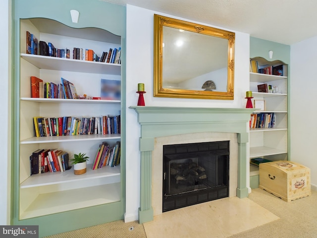 sitting room with carpet