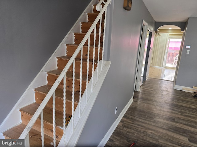 stairway with hardwood / wood-style floors