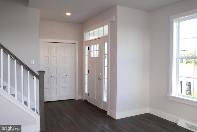 foyer entrance featuring dark wood-type flooring and a wealth of natural light