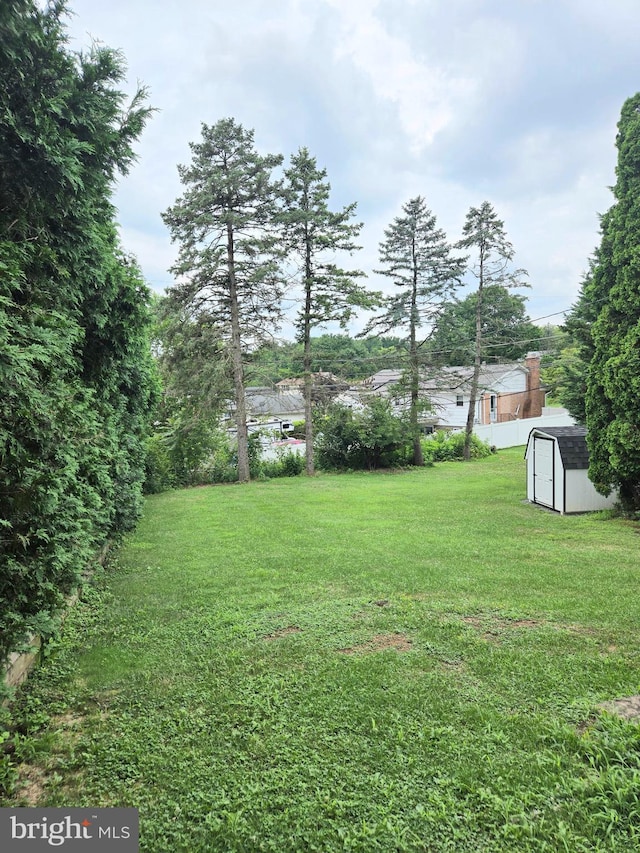 view of yard with a shed and an outdoor structure