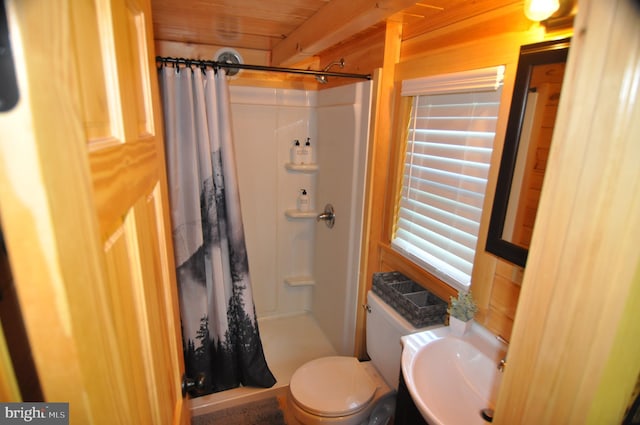 bathroom featuring a sink, toilet, and a shower stall