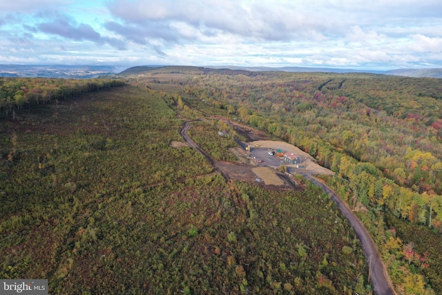 bird's eye view with a mountain view and a view of trees