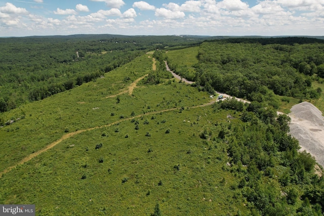 birds eye view of property featuring a forest view