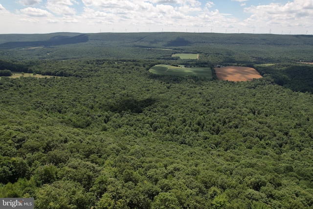 birds eye view of property featuring a wooded view