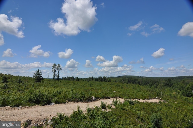 view of nature featuring a wooded view