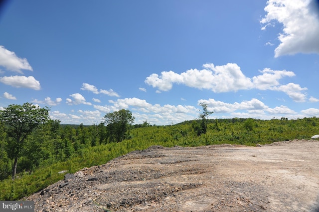 view of local wilderness with a view of trees