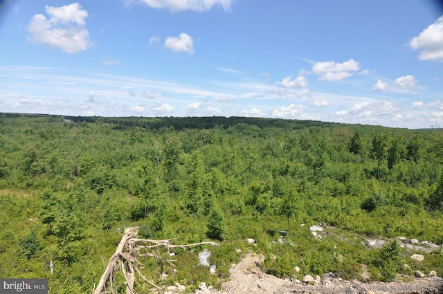 aerial view with a wooded view