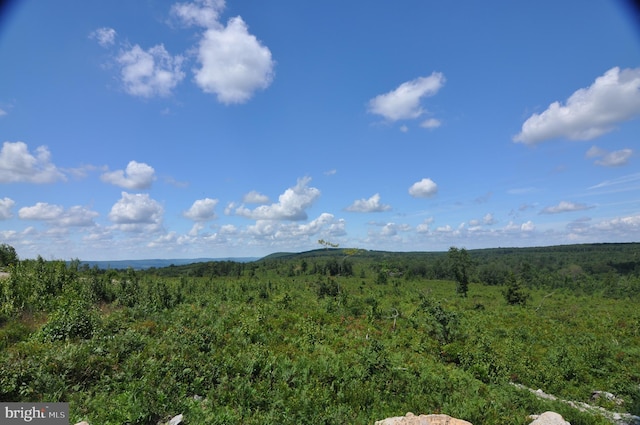 property view of mountains with a view of trees