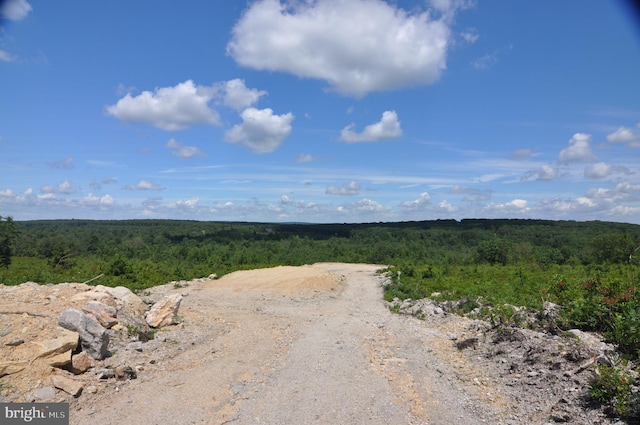 view of street with a wooded view