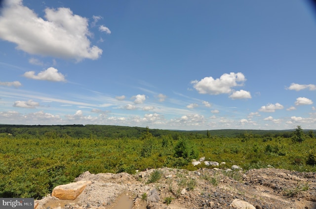 view of landscape featuring a view of trees