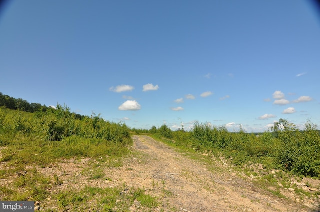 view of local wilderness