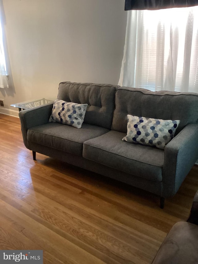 living room featuring plenty of natural light and wood-type flooring