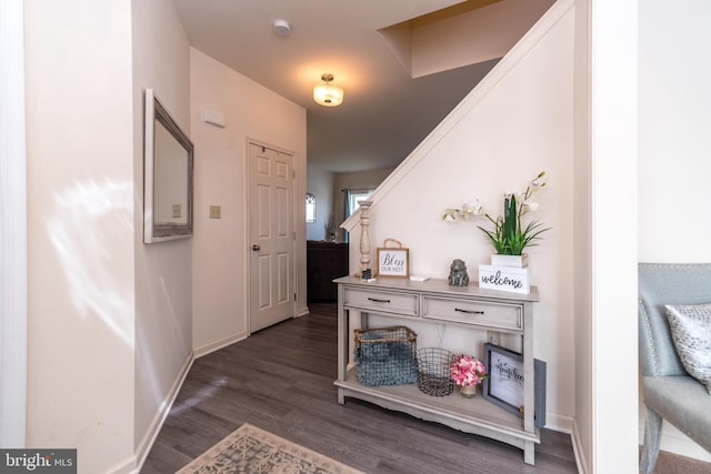 corridor featuring dark hardwood / wood-style floors