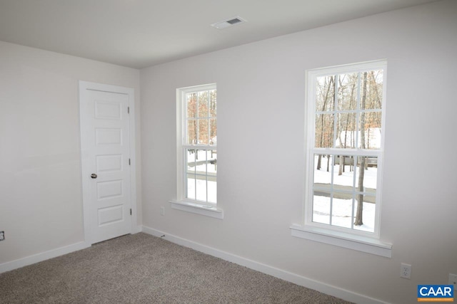 spare room featuring plenty of natural light and carpet flooring